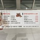 고센사슴목장 이미지