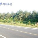 남원읍-126 Daum카페