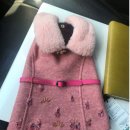 페트코코 이미지