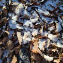 곡성-259 이미지