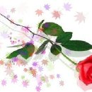 주식회사 우양
