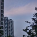 강남대로39길 15-11 (1) 이미지