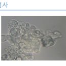 해동물병원 이미지