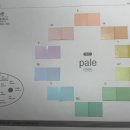 조색 - pale톤 이미지