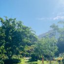 동암마을길 이미지