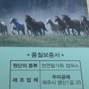 제주도 말가죽 허리벨트 이미지