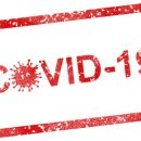 에스티바이오 이미지