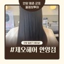 승현헤어 | [안양헤어샵] 제오헤어 안양점 라푼젤 클리닉 후기 - 우정실장&amp;승현디자이너 / 두피클리닉 +머릿결+힐링...
