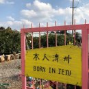 재미농장 이미지