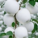 우리 동네 이야기 7 이미지