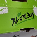 토마토에는 설탕 이미지
