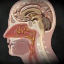 대한한의원 | 후비루 한의원 기침과 가래가 계속된다면 꼭 읽어보세요