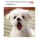 7-3,4‘24 (부제: 블챌밀림. 스크롤을 조심해)