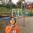 죠이랜드 이미지