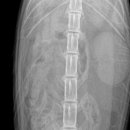 동물병원 누리에뜰 이미지