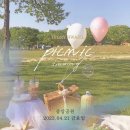 상아배이길 이미지