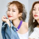 어텀컬러 이미지