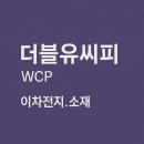더블유씨피(주)충주점 | 기업분석 ver.5-더블유씨피(KOSDAQ)