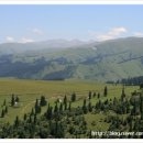 바얀불락 이미지