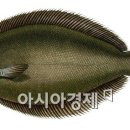 구로수산업 아시아경제