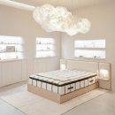 레이디폼 이미지