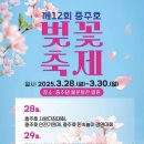 벚꽃 이미지