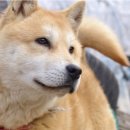 귀소농장 이미지