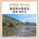 엘림전자 | 제천시 아이랑 캠핑 _ 다양한 즐길거리 가득 펜션과 캠핑을 한번에 할 수 있는 곳! (엘림펜션캠핑장)