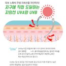 리메이드 이미지