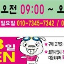 이레네 강아지 이미지