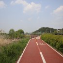 농수산시장 이미지