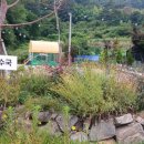 연꽃자리캠핑타운