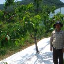 열매농장 이미지