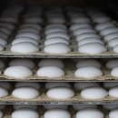 청담떡집 이미지