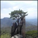거북이산악회 5.29(토) 산행안내[충북제천 동산,작은동산] 이미지