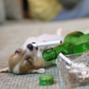 승현이네 이미지