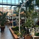 외간정글돔하우스 이미지