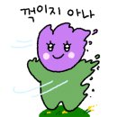 온리쿡 이미지