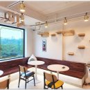 아이조아 캣파크 서울점 이미지