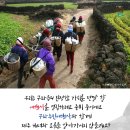 세화여행사 - 금정구 금정로 143-2 | 세화여행사