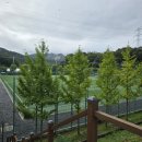 에코랜드수영장 축구장 이미지