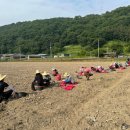 합동축산 이미지