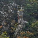 진남주유소 이미지