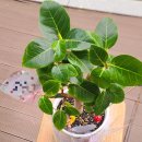 풍호동행정복지센터 이미지