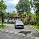 아멜리아 이미지