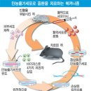 [미래 유망기술] 인류미래 이끌 첨단기술 놀랍네 이미지