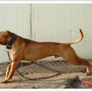 호동이농장 이미지