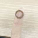 비비드 티스토리