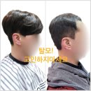 모이든가발