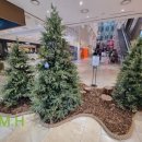 코스트코입구건너편 이미지